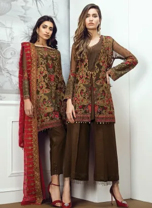 Beautiful dress by Sareen in chiffon in shoking pink red and brown color Model #C 1126