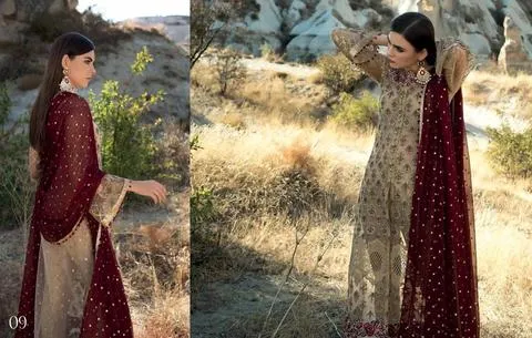 Chiffon dress in Skin Gold and Maroon Color by Zainab Chotani - C1707