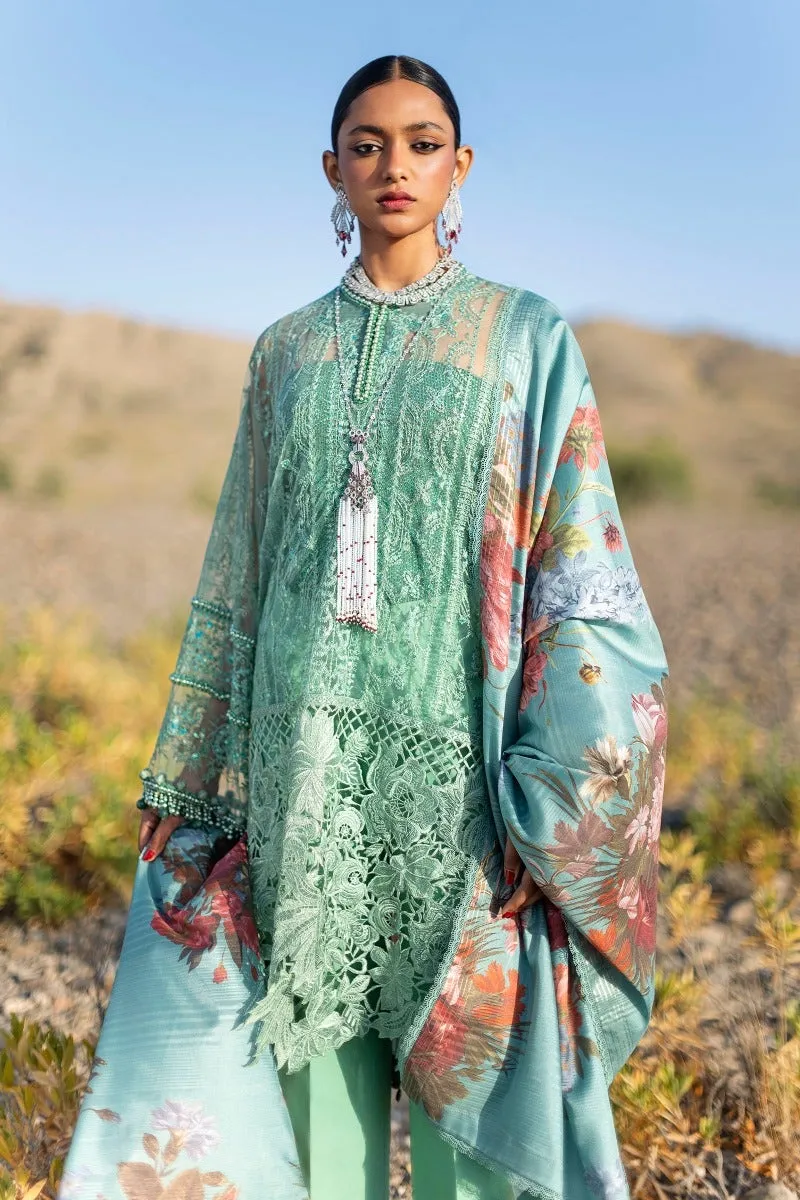 Heavy Chikankari Kameez Salwar Pakistani Party Dresses