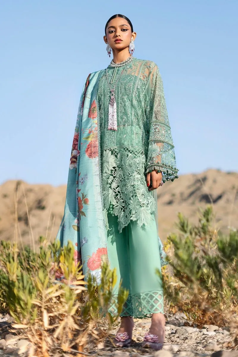 Heavy Chikankari Kameez Salwar Pakistani Party Dresses