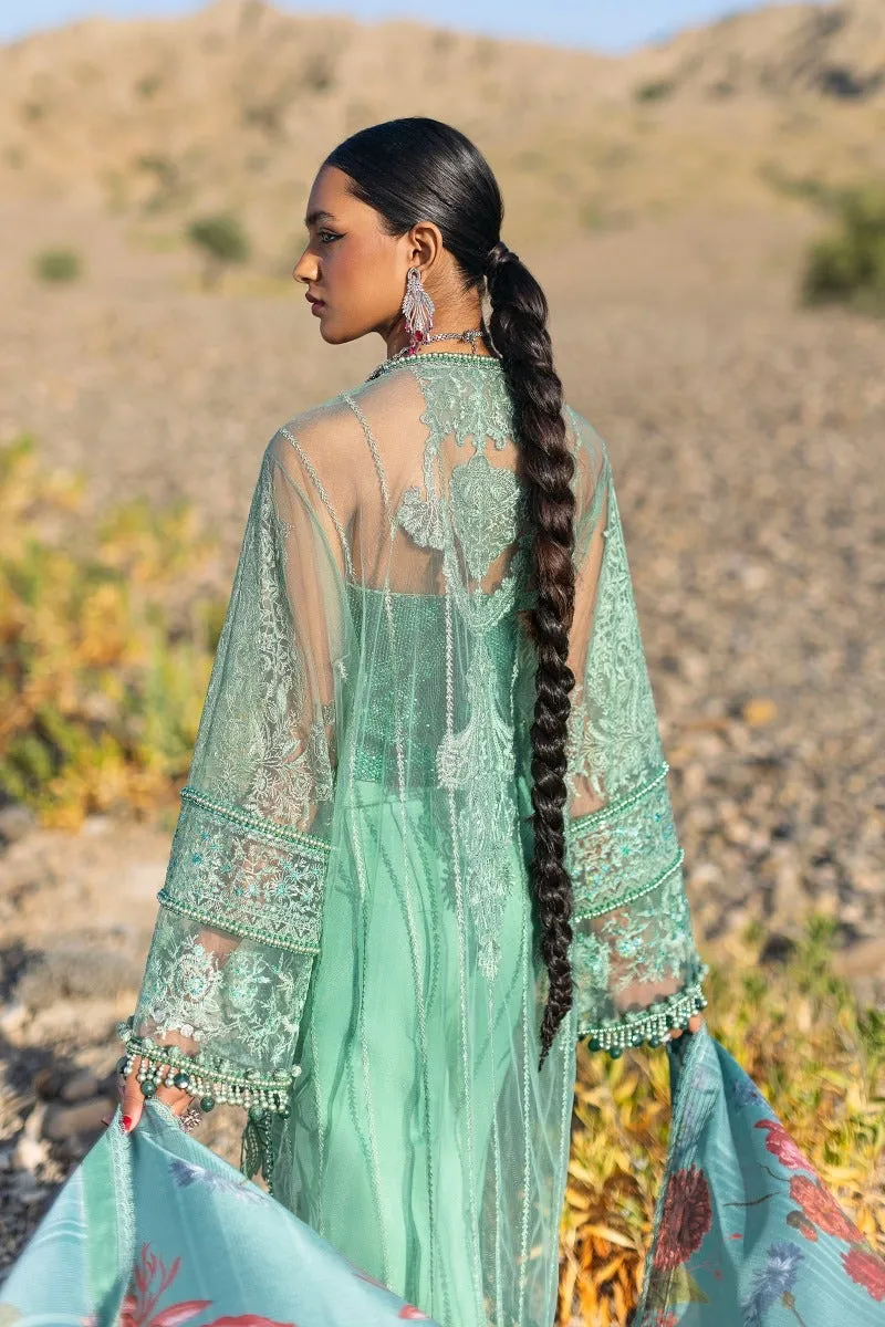 Heavy Chikankari Kameez Salwar Pakistani Party Dresses
