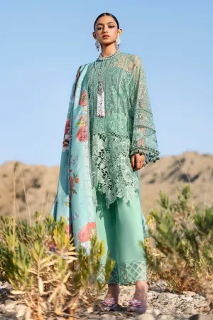 Heavy Chikankari Kameez Salwar Pakistani Party Dresses