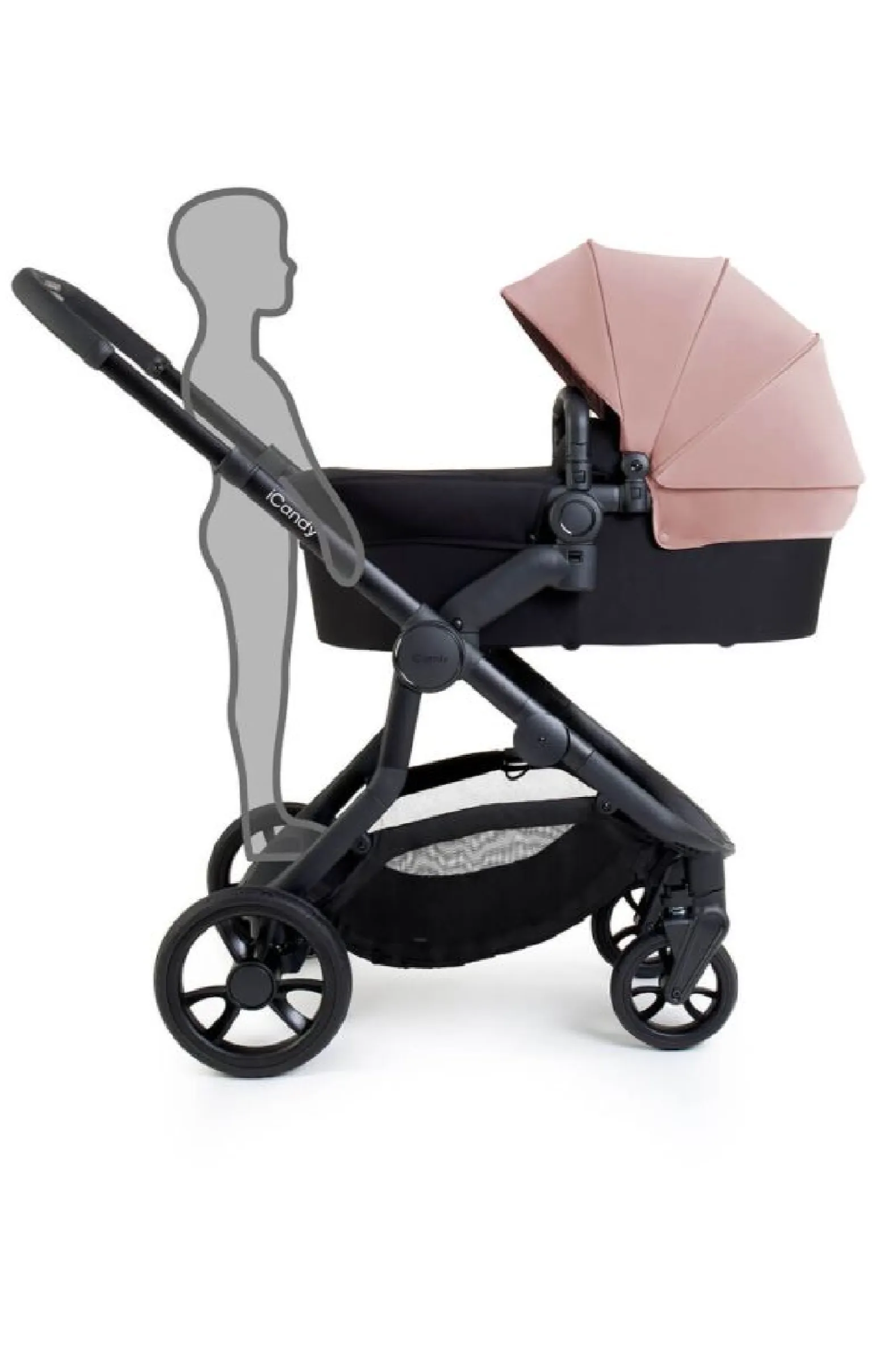 iCandy Orange 4 Rose