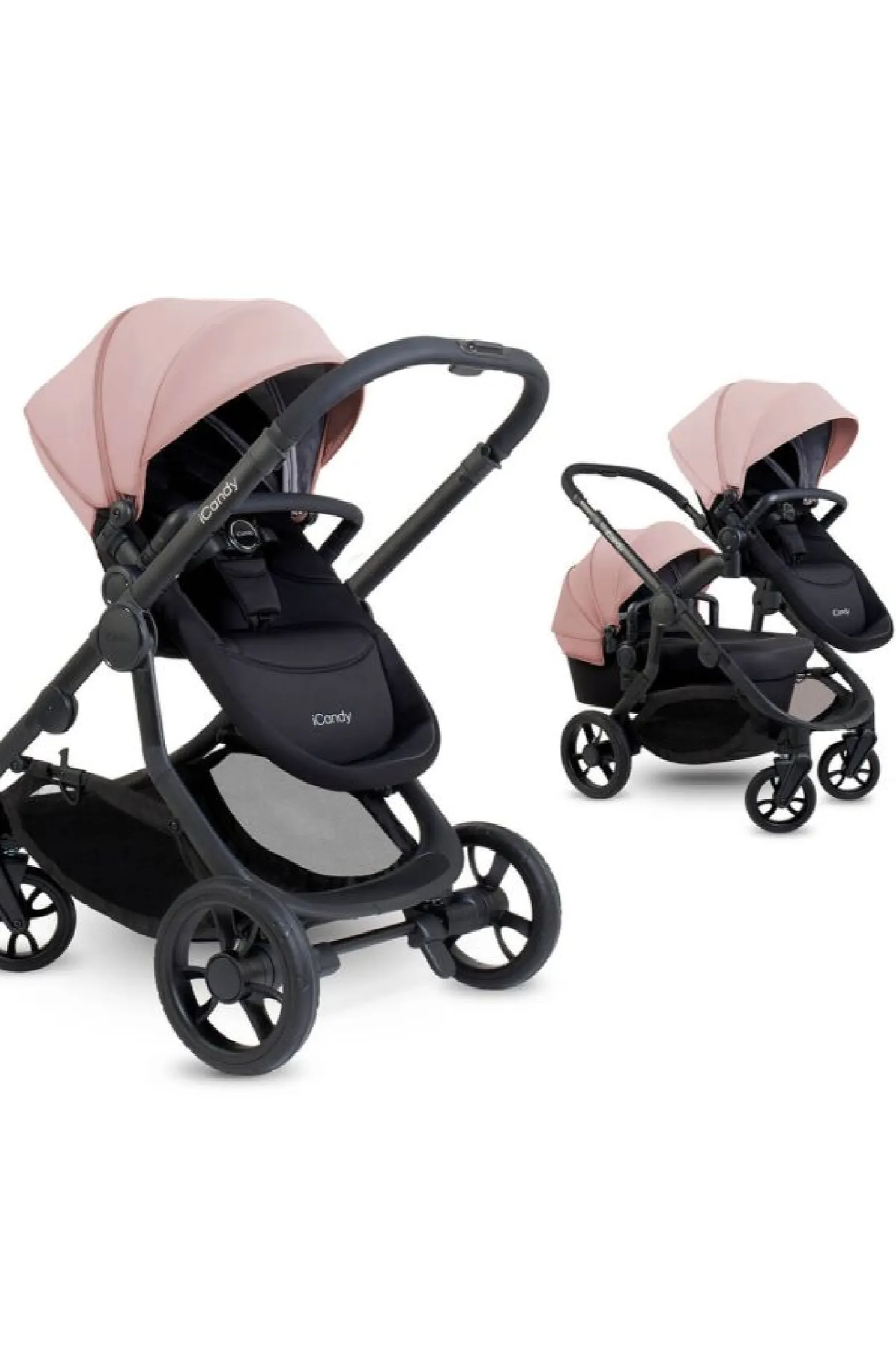 iCandy Orange 4 Rose