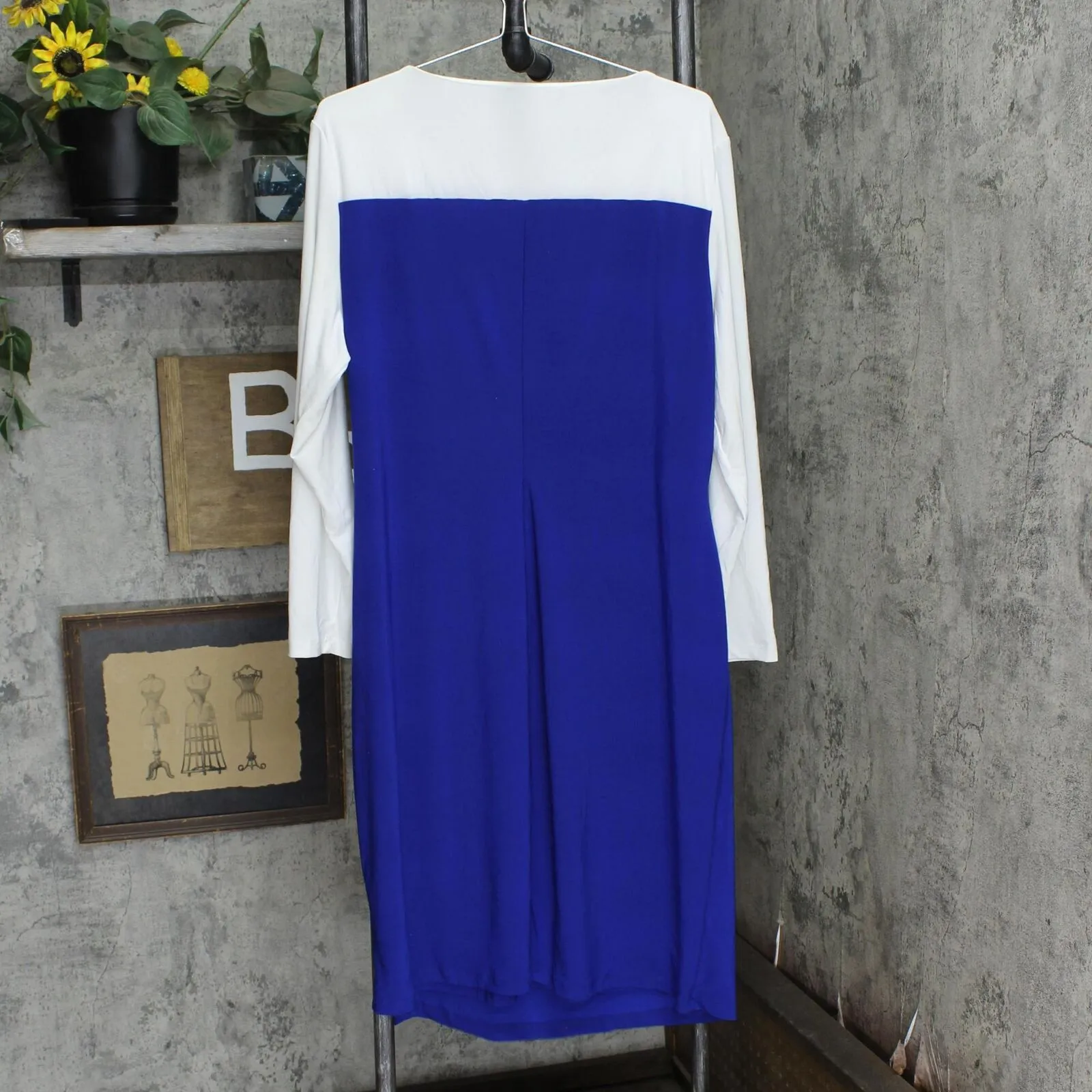 Kasper Womens Plus Size Ginger Colorblocked Midi Shift Dress Royal / White 2X