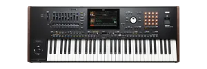 Korg Pa5x 61-note Professional Arranger Keyboard
