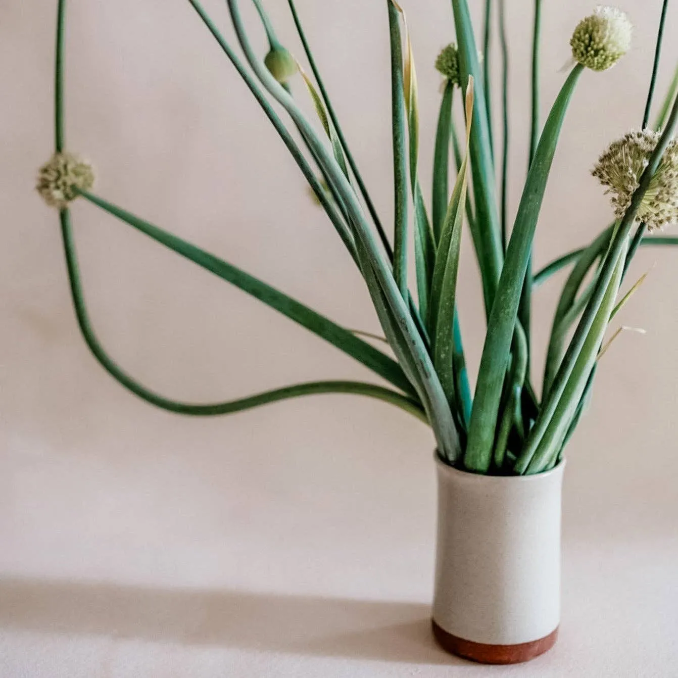 Los Padres Vase: The Ojai Collection