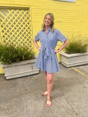 Meadow Stripe Shirt Dress