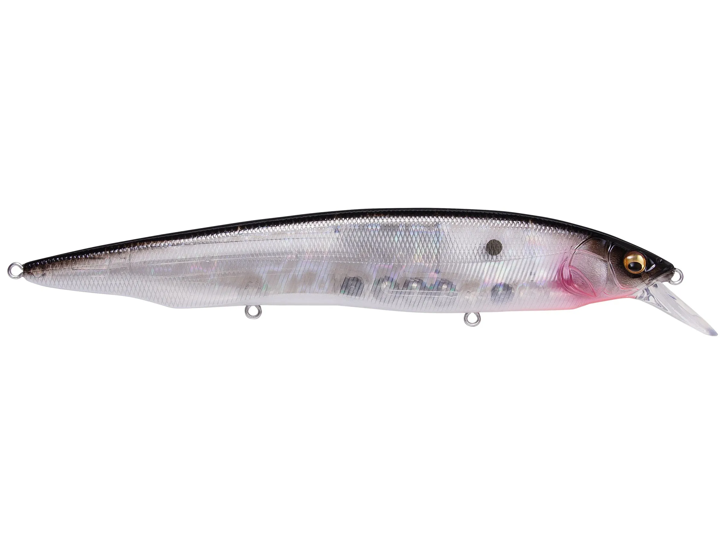 Megabass Kanata