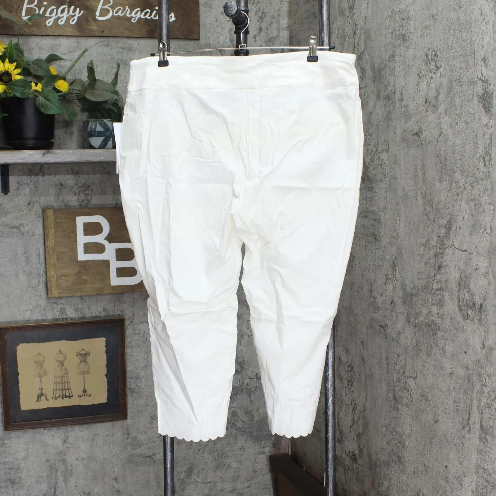 Nina Leonard Womens Pull-On Stretch Scallop-Hem Cropped Pant Ivory White 2X
