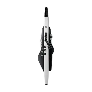 Roland Aerophone AE-20